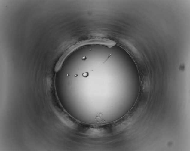 X0000101100455200807031754