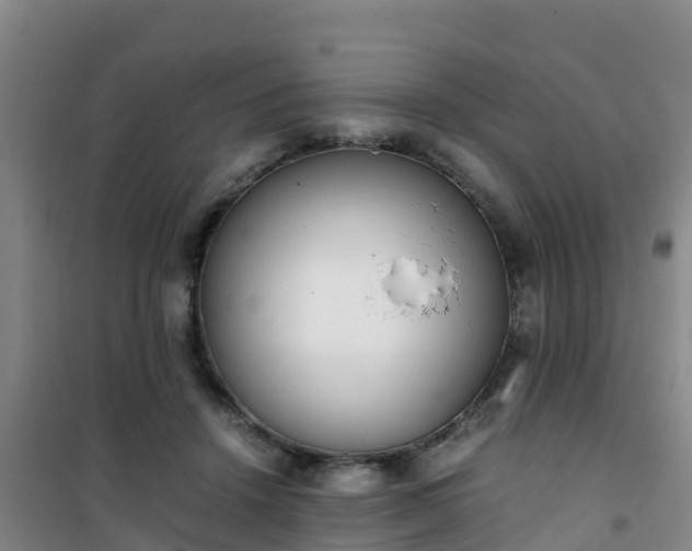 X0000101100456200807031754