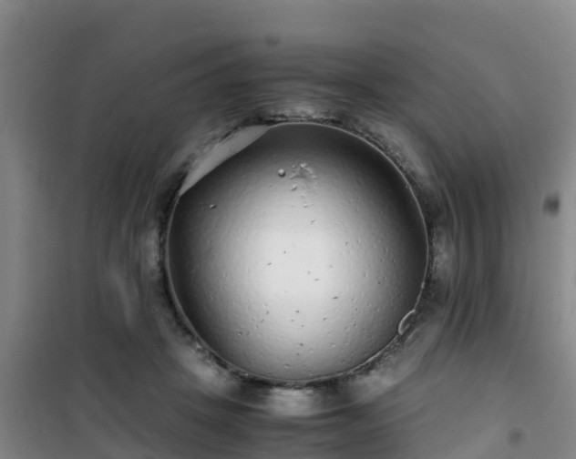 X0000101100457200807031754