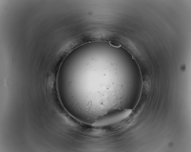X0000101100458200807031754