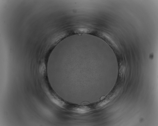 X0000101100459200807031754