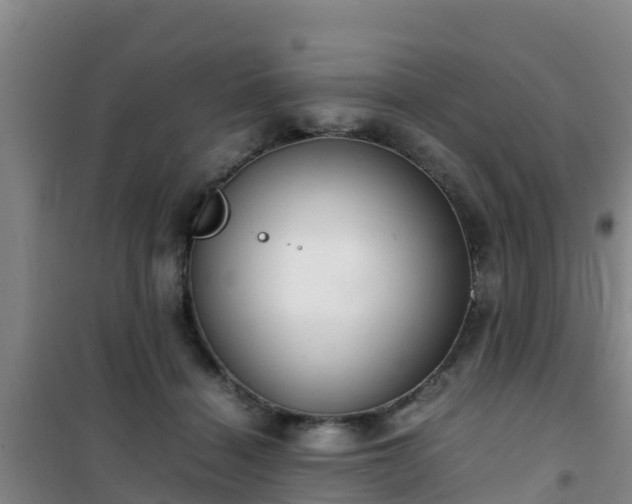 X0000101100460200807031754