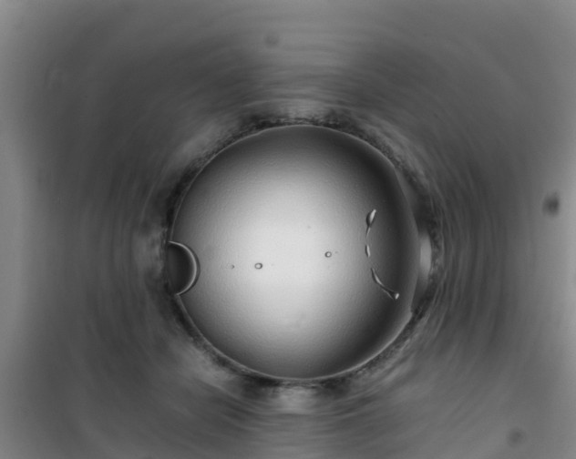 X0000101100462200807031754