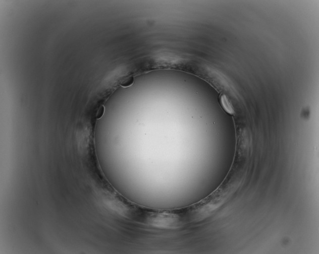 X0000101100463200807031754
