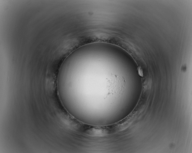 X0000101100464200807031755