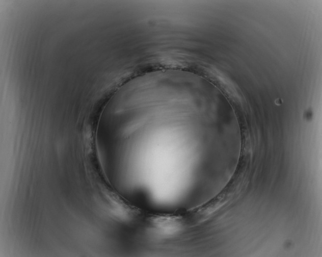 X0000101100465200807031755