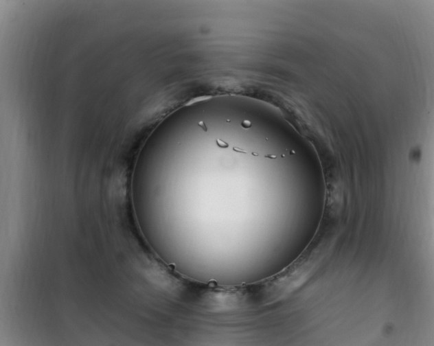 X0000101100466200807031755