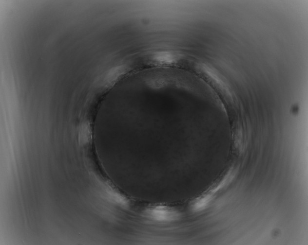 X0000101100467200807031755