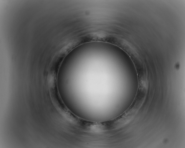 X0000101100468200807031755