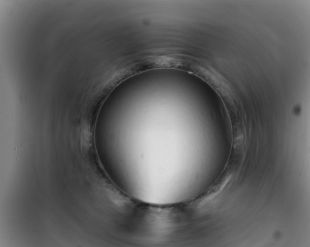 X0000101100469200807031755