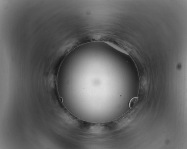 X0000101100470200807031755