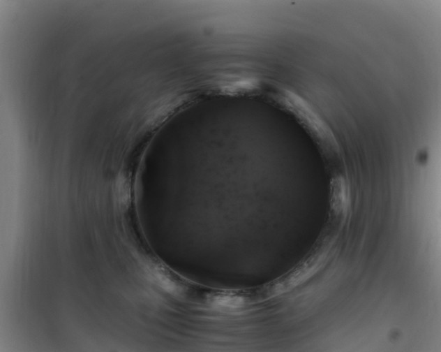 X0000101100471200807031755