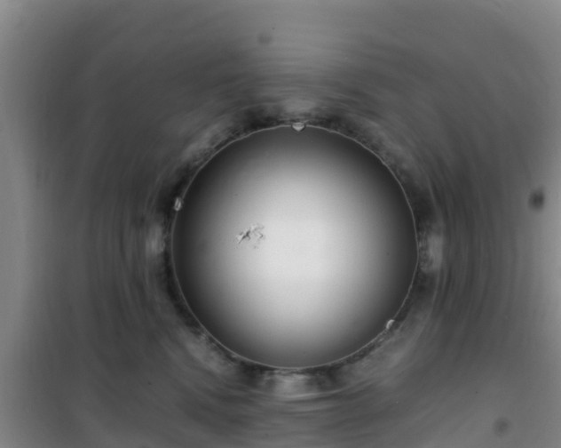 X0000101100472200807031755
