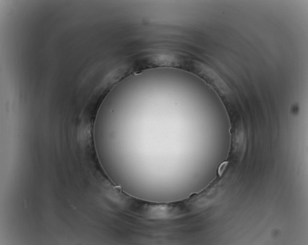 X0000101100473200807031755
