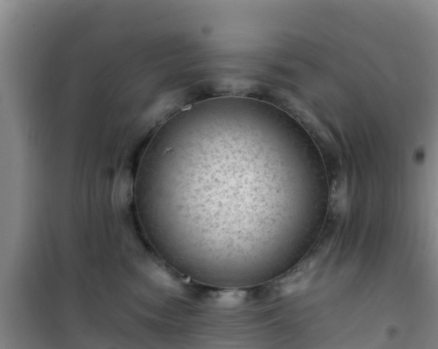 X0000101100474200807031755