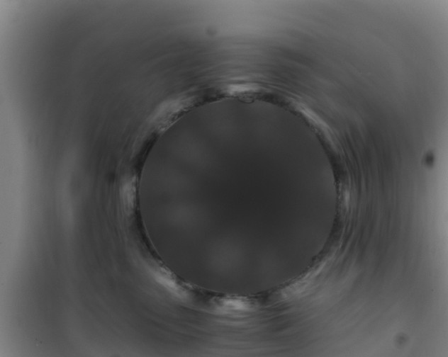 X0000101100475200807031755