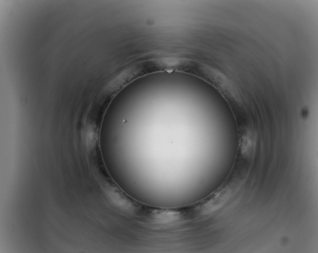 X0000101100476200807031755