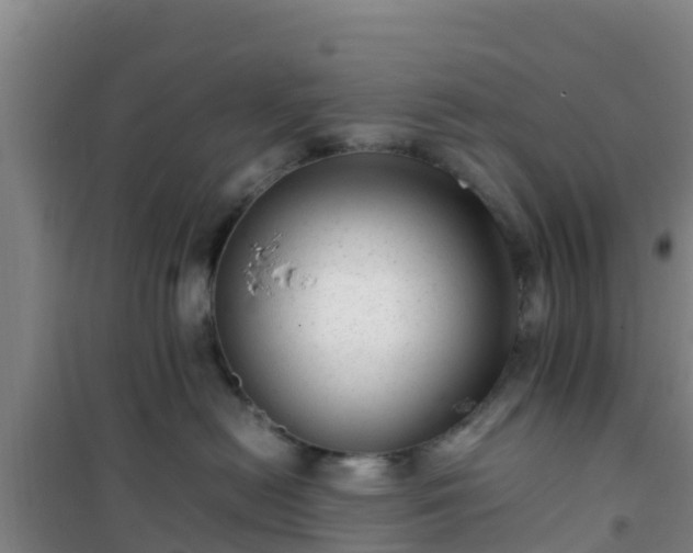 X0000101100478200807031755