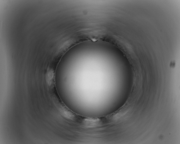 X0000101100480200807031755