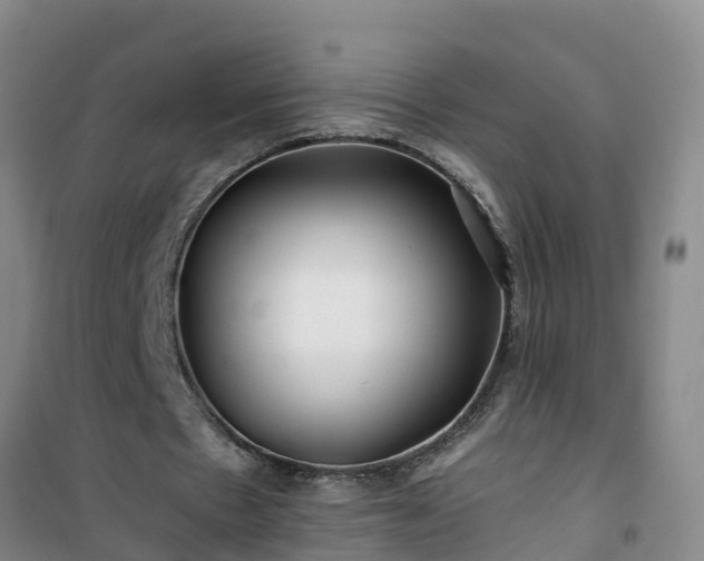 X0000101100481200807031754