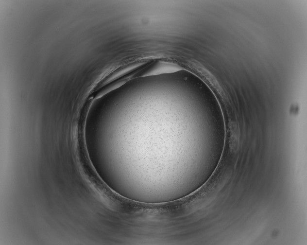 X0000101100482200807031754