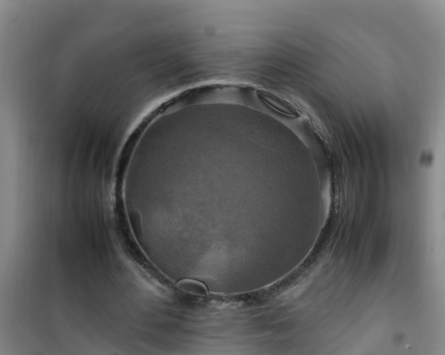 X0000101100484200807031754