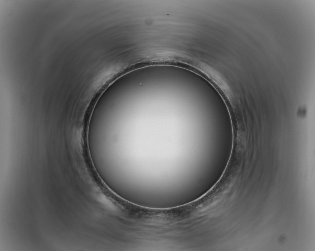 X0000101100485200807031754