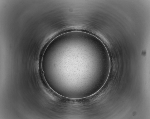 X0000101100486200807031754