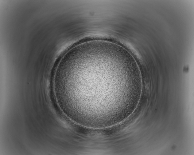 X0000101100487200807031754