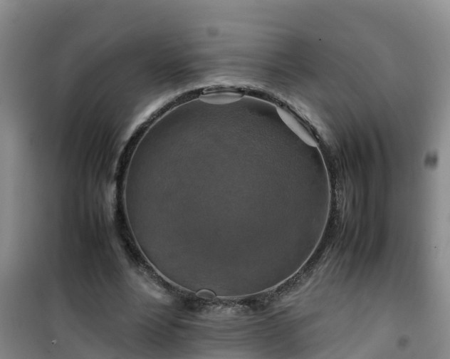 X0000101100488200807031754