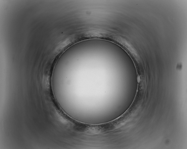 X0000101100489200807031754