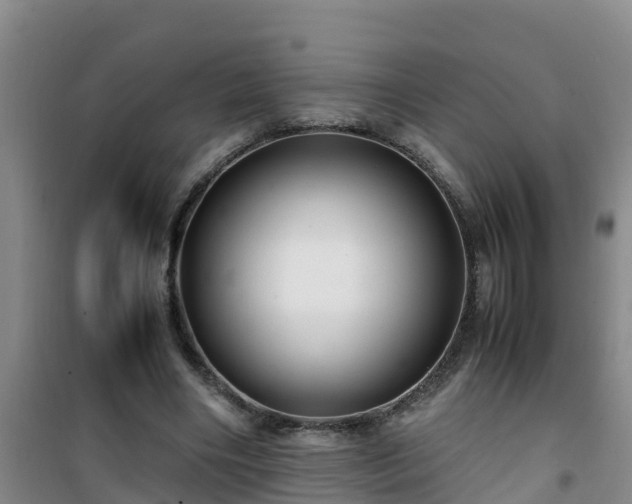 X0000101100490200807031754