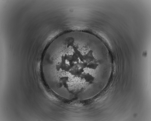 X0000101100491200807031754