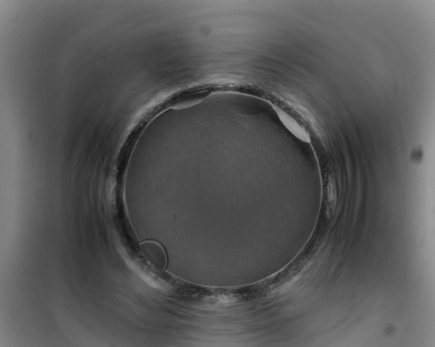 X0000101100492200807031754