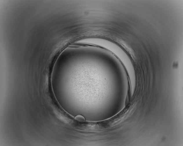 X0000101100493200807031754