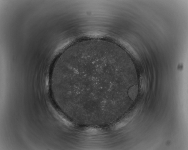 X0000101100494200807031754