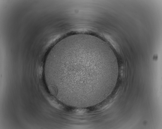 X0000101100495200807031754