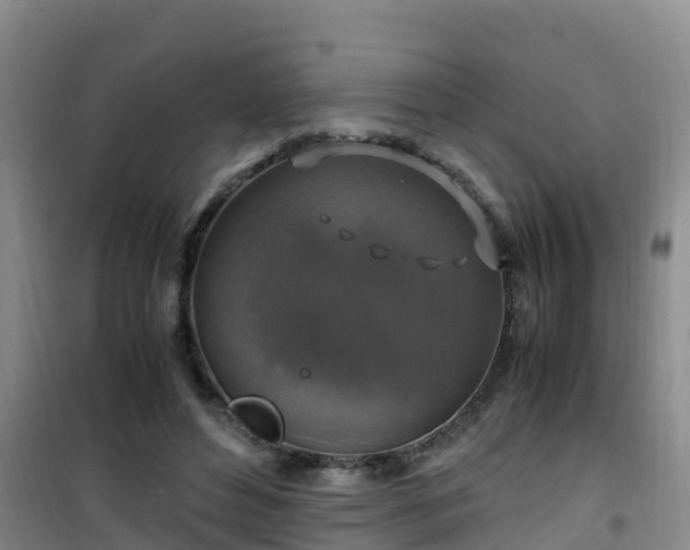 X0000101100496200807031754