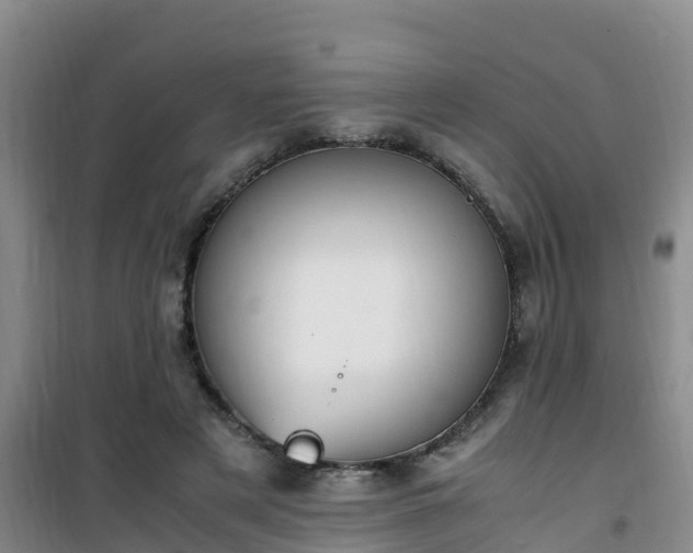X0000101100497200807031754