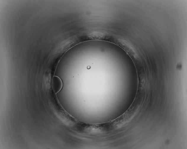 X0000101100498200807031754