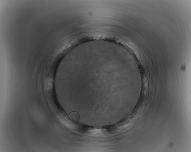 X0000101100499200807031754