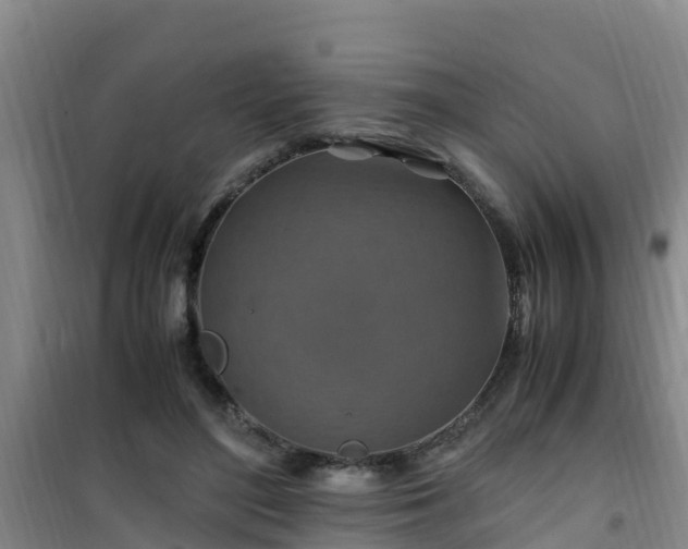 X0000101100500200807031754