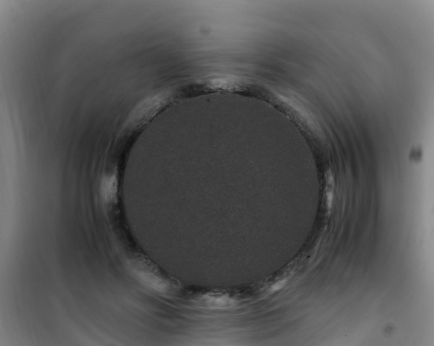 X0000101100502200807031754