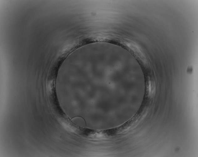 X0000101100503200807031754