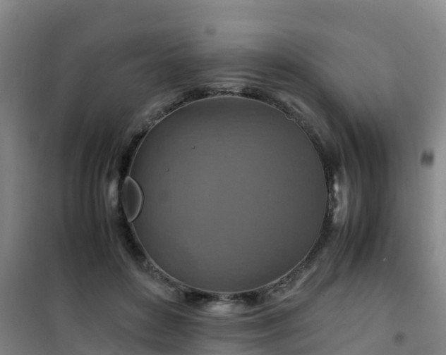 X0000101100504200807031754