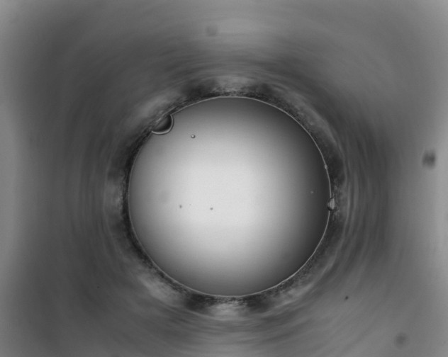 X0000101100505200807031754