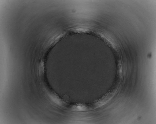 X0000101100506200807031754