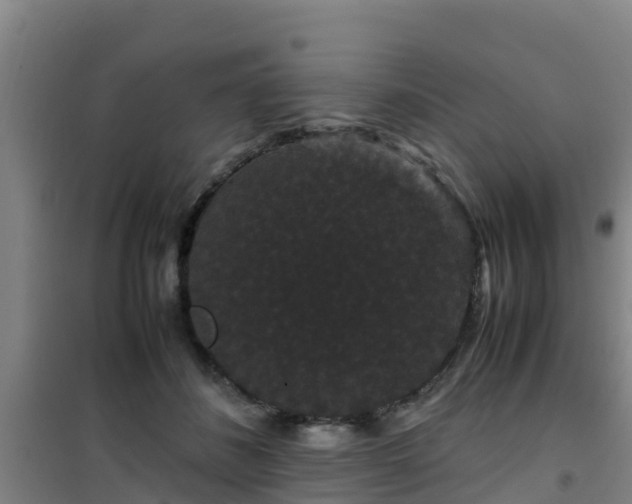 X0000101100508200807031754