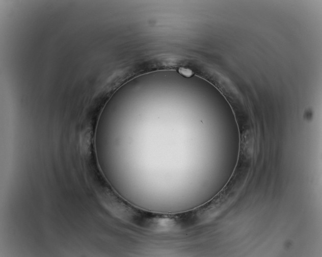 X0000101100509200807031754