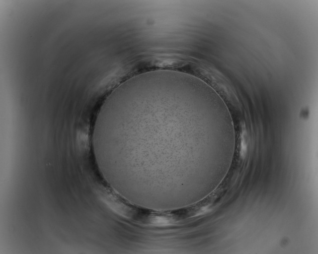 X0000101100510200807031754